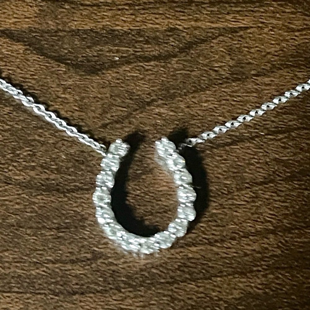 Diamond Horseshoe Necklace in white gold